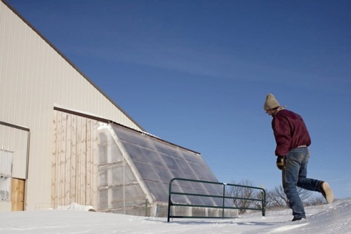 solarpunk-aesthetic:Deep Winter GreenhouseParadox Farm, University of MinnesotaThese greenhouses are