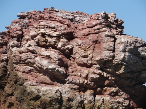 Paleozoicsedimentary rocks at Red Rock in New South Wales (Australia).ThePaleozoic Era began 543 mil