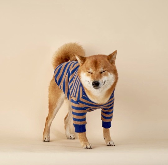 mustardtigress:          