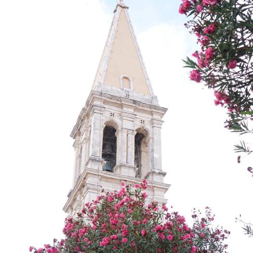 Looking up in Stari Grad, Croatia. #questioneverywhere #abmlifeiscolorful #dsfloral #mytinyatlas #tl