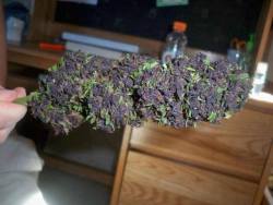 Phuckindope:  Need !!