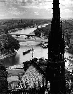 mimbeau:  Wolf Suschitzky From Notre-Dame