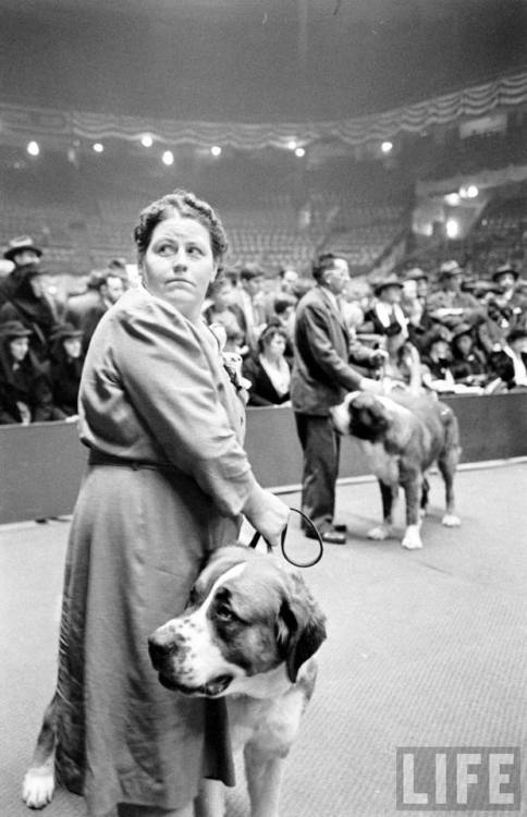 Westminster Kennel Club dog show(Sam Shere. 1944)