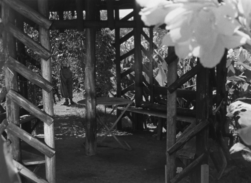 abbaskiarostami: After the Curfew / Lewat Djam Malam (1954) dir. Usmar Ismail Cinematography by Max 