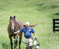 Thehorsegodbuilt:  A Lovely Miss Rachel At Stonestreet This Morning.   She Know