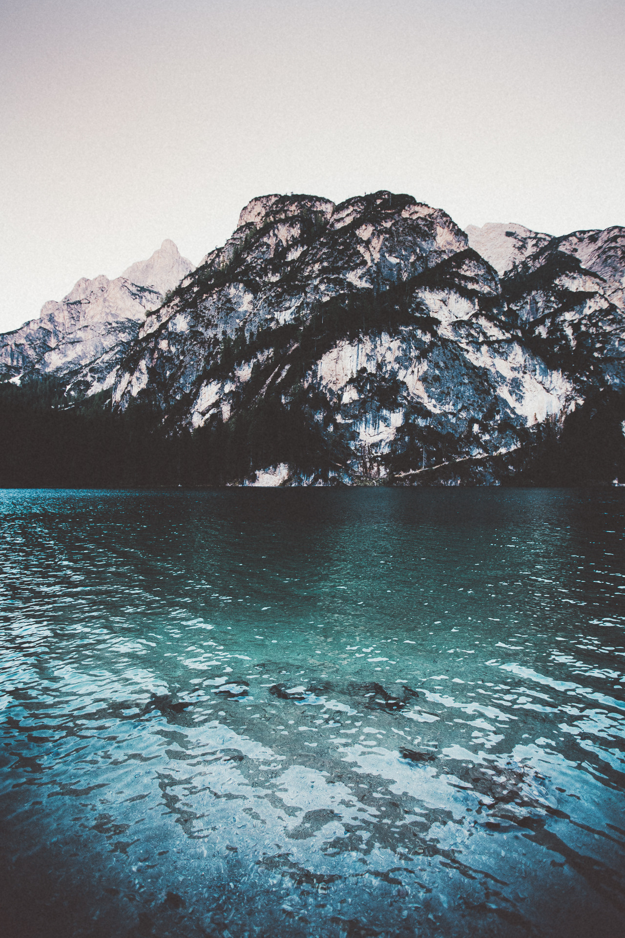 shivelight-and-honeyfur:  Nature BlogClick ~here~ to join our nature network!