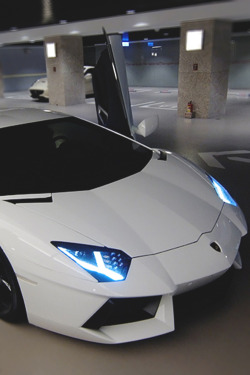 johnny-escobar:  Aventador 