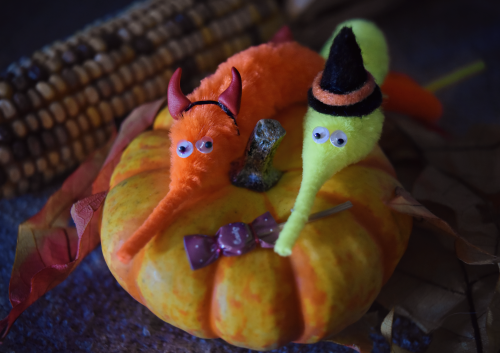 happy halloween, everybody! 🎃 #halloween#fall #worm on a string #squirmles#squirmels#clementine#lemoncake