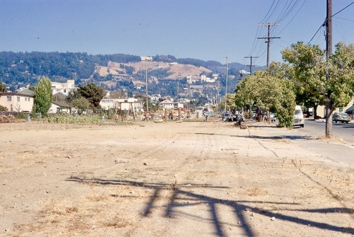 BART Construction, University of California in the Distance, Berkeley-Albany City Line, 1970.The BAR