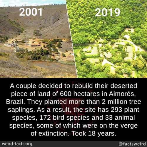 mindblowingfactz:  A couple decided to rebuild their deserted piece of land of 600 hectares in Aimorés, Brazil. They planted more than 2 million tree saplings. As a result, the site has 293 plant species, 172 bird species and 33 animal species, some