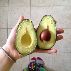 vegan-veins:  Avocados are the love of my