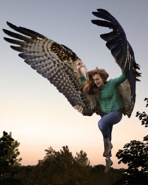 jess-curious:sushinfood:zoomine:“The Name’s Max, Maximum Ride”Via ( IAmEmilyK )this is s