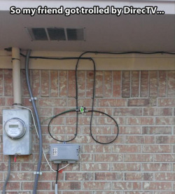 Just Funny Pictures