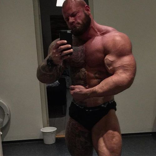 myfavoritemusclemen:  Soren Falby
