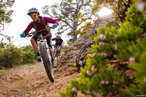 coletassoft: Sunshine & Smiles by Dan Barham - bit.ly/X560qY