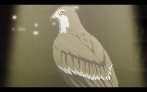 Oh so the eagle was delivering the memory card. Because in a universe with confirmed airships, inter