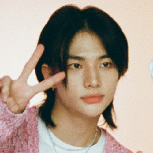 Hwang Hyunjin + Kim Seungmin Matching Icons/metadinhas.