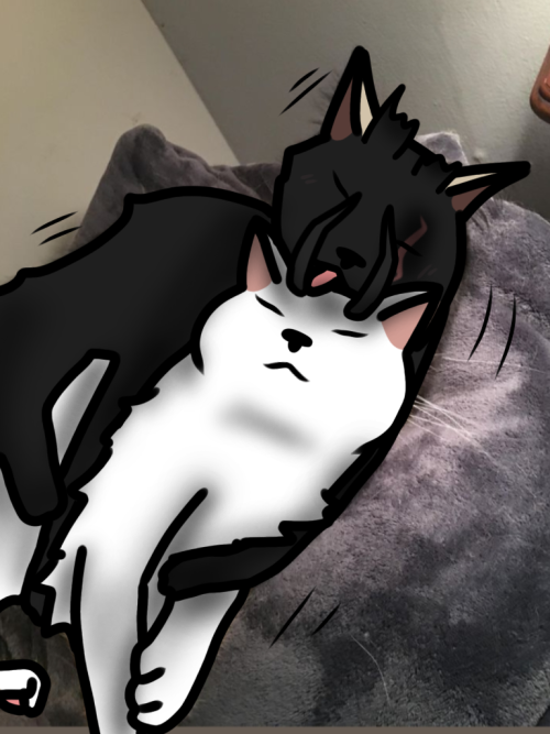 Cuddles.