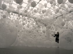 qock:  Scattered Crowd by William Forsythe