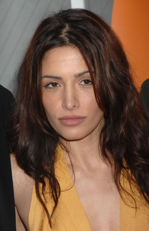 Some-Sarah-Shahi:sarah Shahi