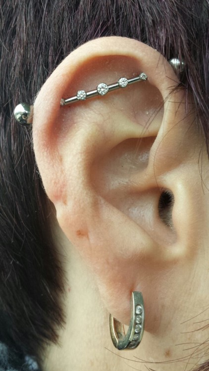 xbrainflowerpiercingx: Healed industrial with a blinged out forward facing bar from Anatometal