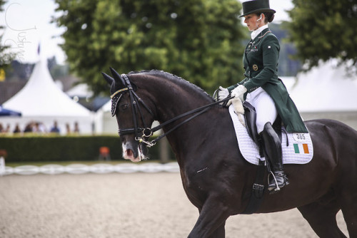 real-geldings-have-curves: CHIO Aachen part 3