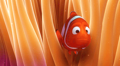 mariasgf:You wanna name all of them right now? Okay we’ll name this half Marlin Jr. and this half Co