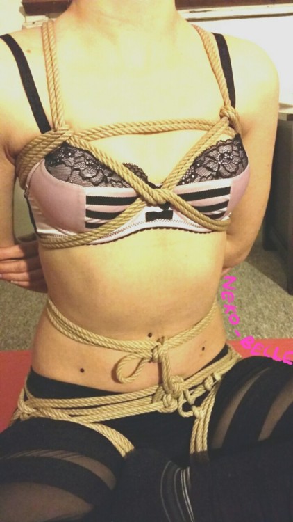 neko-belle:More rope harness with murasaki-koneko =^_^=  Chest harness by me, waist harness by blind-pilot-rope