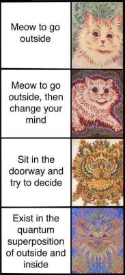 catsuggest: How to achieve nirvana (purrvana?)