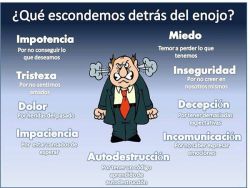 salamera:  El enojo también es causante de problemas a la salud: Las emociones violentas envenenan hasta las células (Dra. C.Pert), causando innumerables enfermedades como hipertensión, diabetes, infartos, úlceras, envejecimiento prematuro y hasta