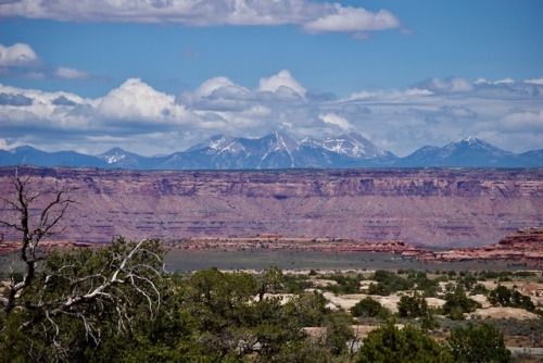 Eastern Utah, Southern Colorado, and Northern New MexicoJune 2019