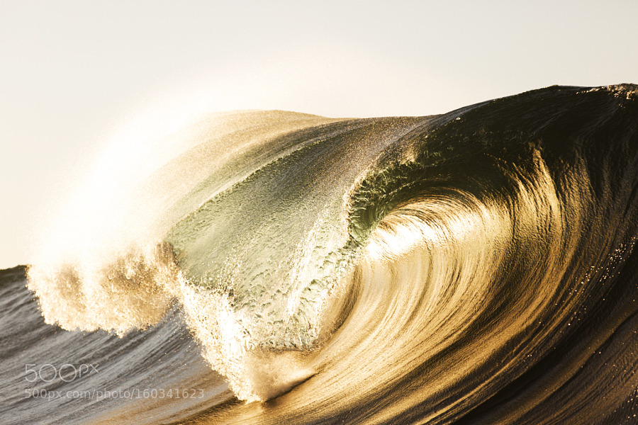 superbnature:  Blazing by cammcfarlanephoto1 http://ift.tt/2916laM 