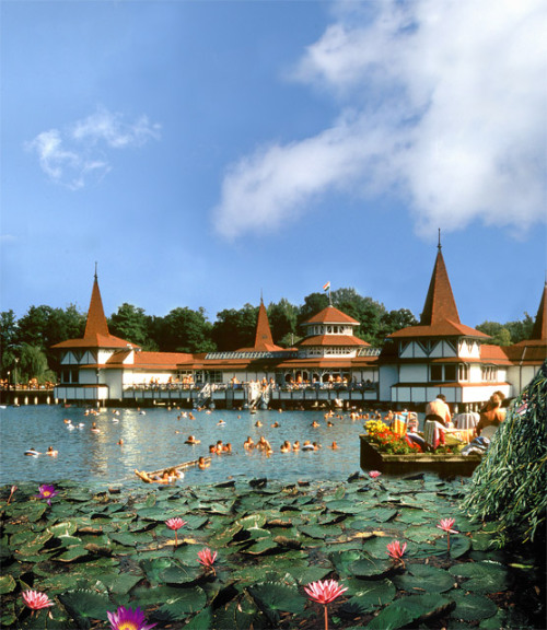 allthingseurope:Lake Heviz, Hungary (by herbert fausy)