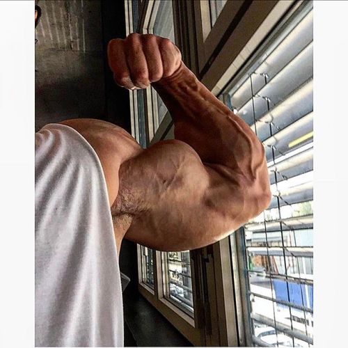 beautifulyoungmuscle:  Enis Rexhepi: bountiful biceps (and everything else)!