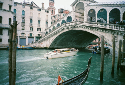 petalier:  © espaldancha | Venice, Veneto, Italy  
