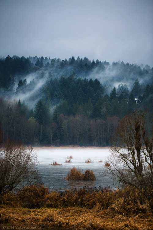 va103:  Mists of Vancouver Island II Spokane Seattle Canada trip 13 