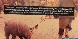 lotrconfessions:  The scene “Concerning