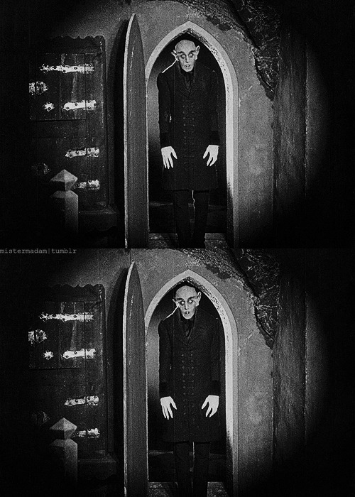 mistermadam:  Nosferatu - Eine Symphonie des Grauens (UFA-1922) 