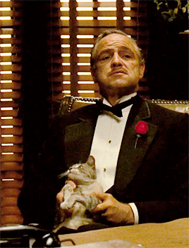 babeimgonnaleaveu:    “As Don Corleone calmly explains his idea of “friendship” to the undertaker Bonasera, the first nearly full-body shot of the don reveals an unexpected guest: a gray and white cat sitting in Marlon Brando’s lap. “The cat