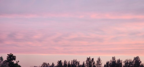 I Look At The Sky At Dawn