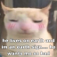 fa1ry420