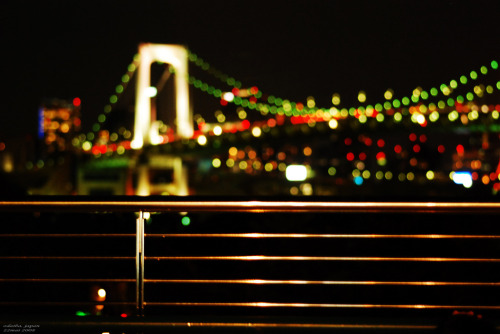 The Rainbow Bridge (レインボーブリッジ Reinbō burijji) is a suspension bridge crossing northern Tokyo Bay bet