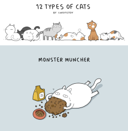 tastefullyoffensive:  12 Types of Cats by artist Landysh for Shop.lingvistov.com 