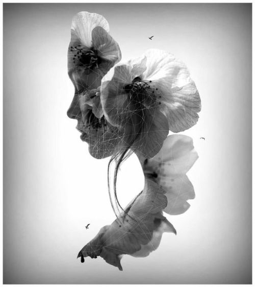mignonne-allons-voir-si-la-rose: Stunning Double Exposures Photography by Nevess Excellent photograp