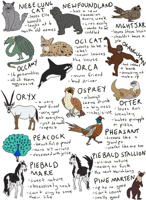 fleamontpotter: click to make bigger!!!  THIS IS SO LONG i’ve literally included every an