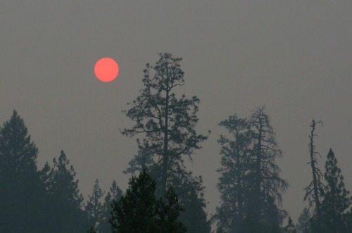 expressions-of-nature:California wildfires, sunset & sunrise by Gary Robertson