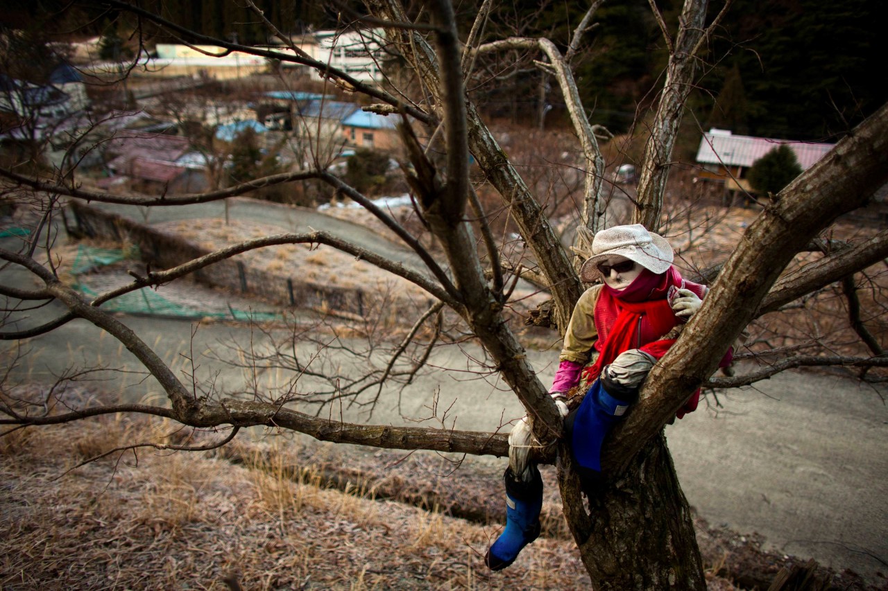 LOS ESPANTAPAJAROS DE NAGORO: Un espantapájaros se sienta en un campo en el pueblo de Nagoro en la isla de Shikoku, en el sur de Japón 24 de febrero de 2015. Tsukimi Ayano hizo su primer espantapájaros hace 13 años. El muñeco de paja de tamaño...