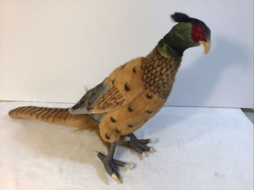 a pheasant by hansa!