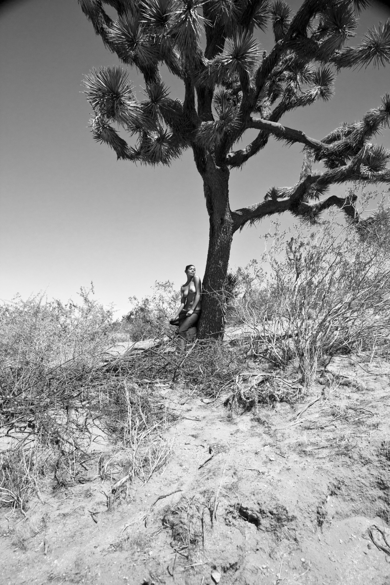 stmerrique:  by Sean Goodman