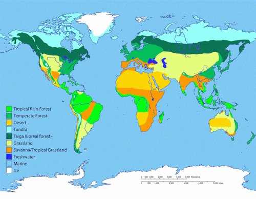 World BiomesBiogeography is the scientific study of the way plants and animals are distributed acros
